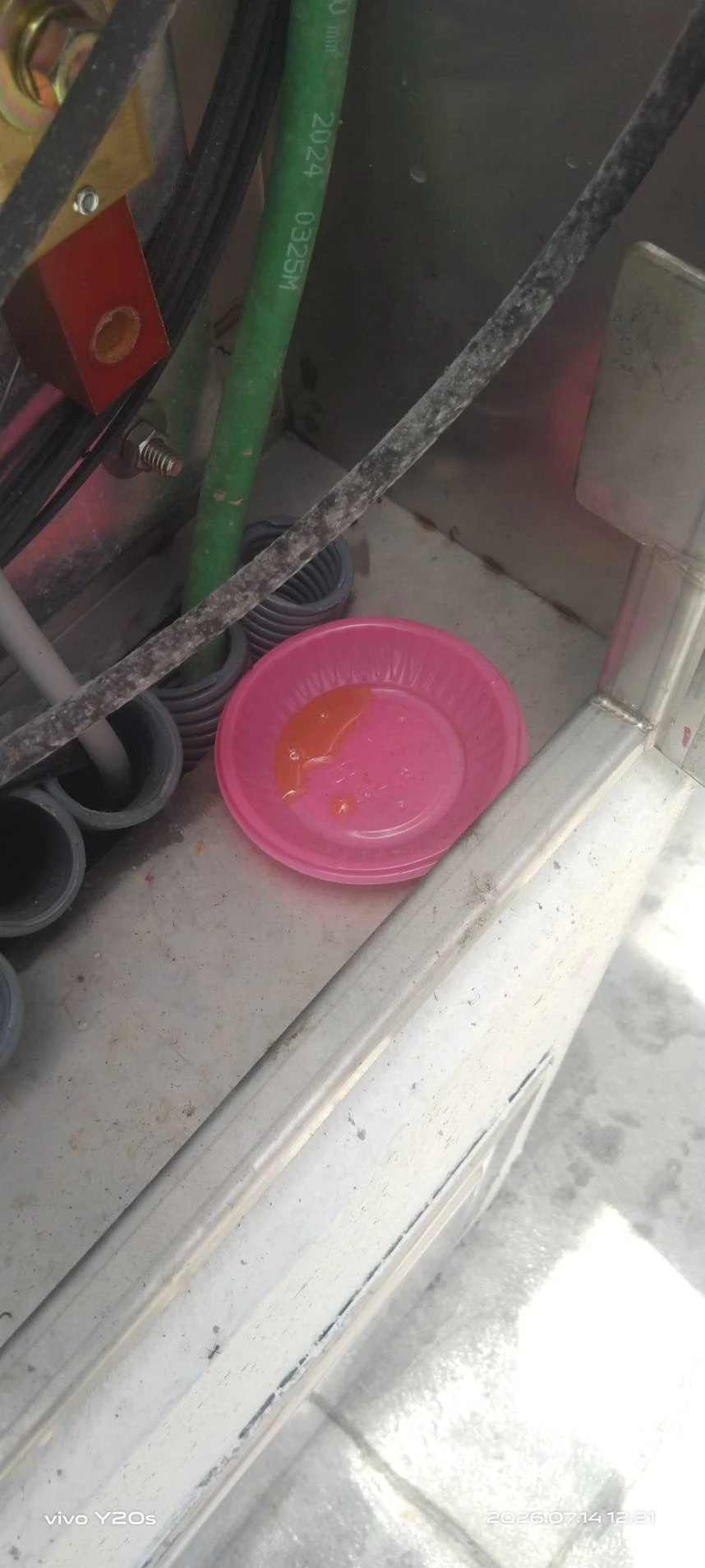 礁溪社區蟻害防治