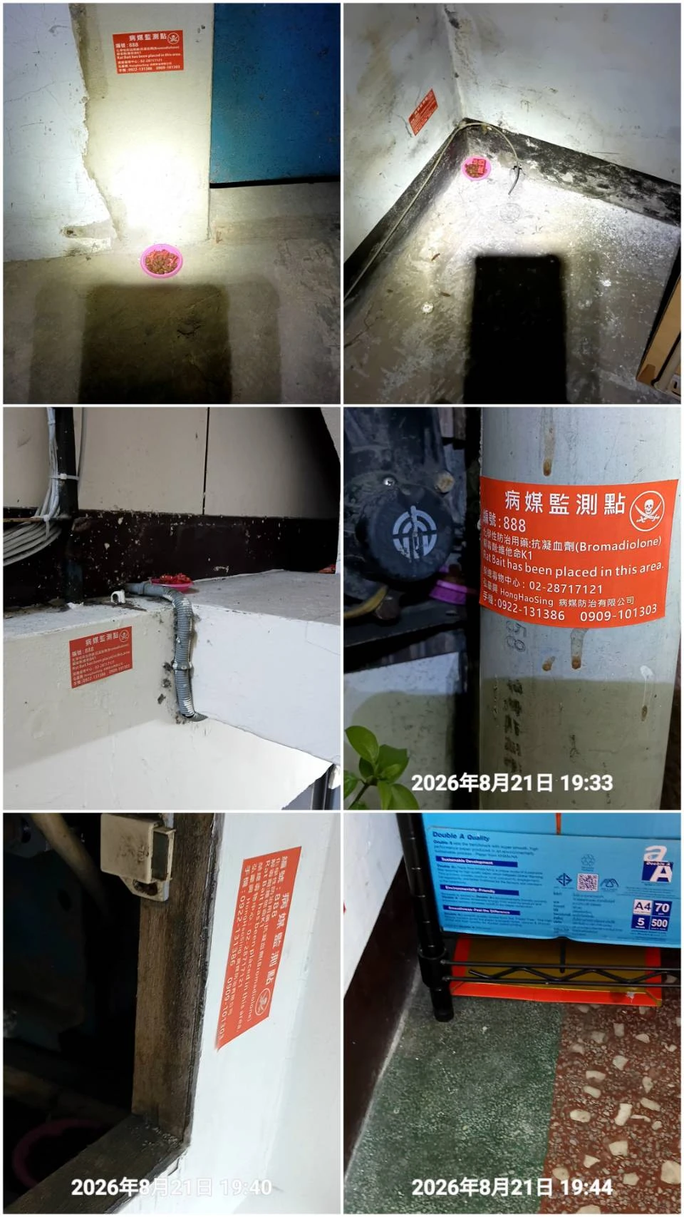 八德區門市鼠害防治