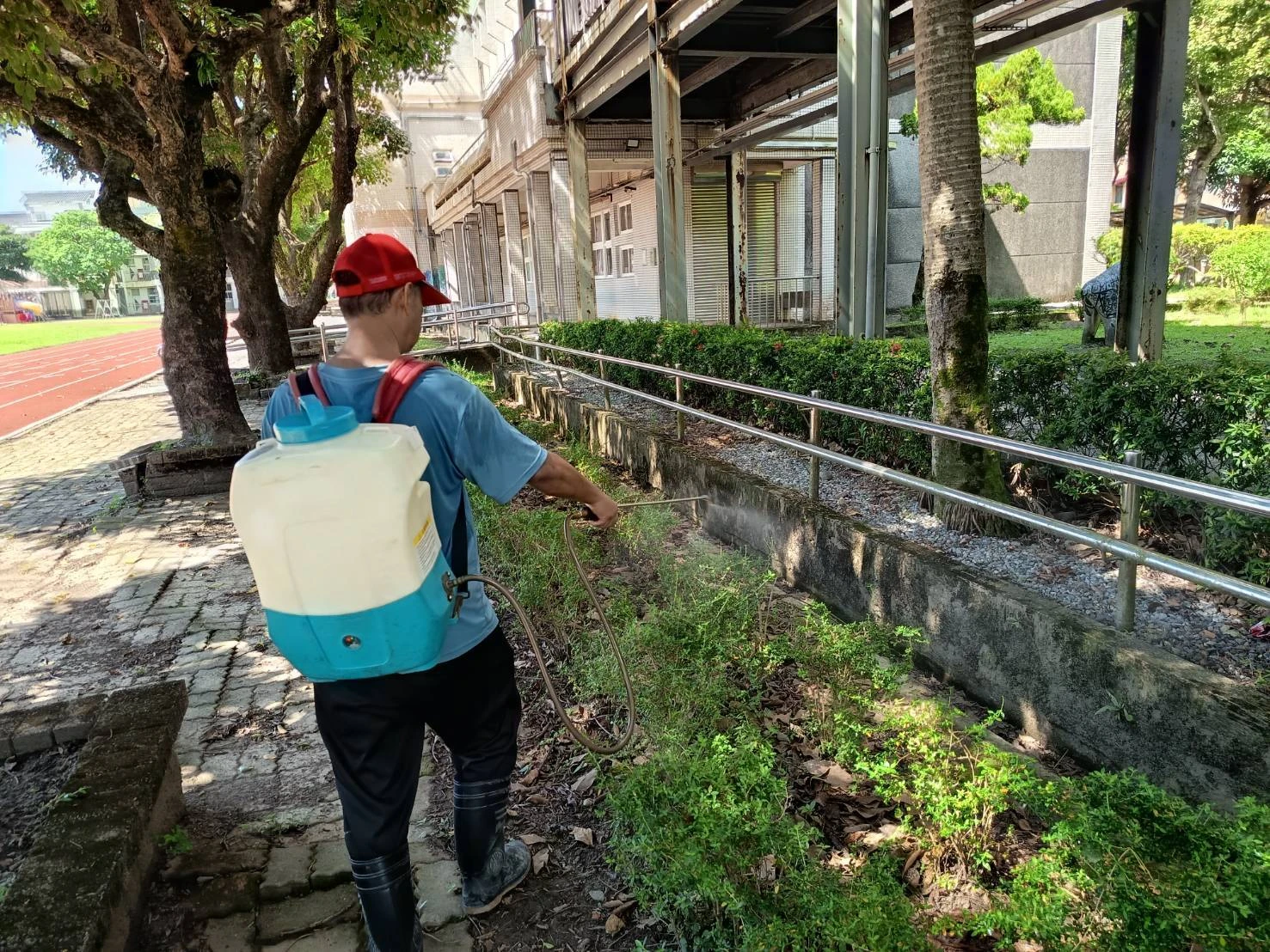 115年國民小學年度消毒