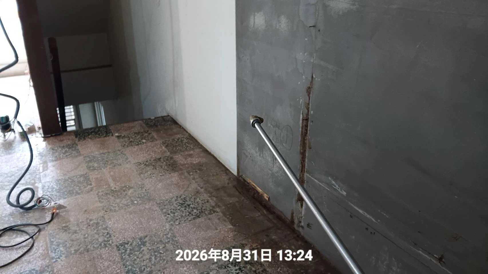 桃園區裝修屋白蟻防治