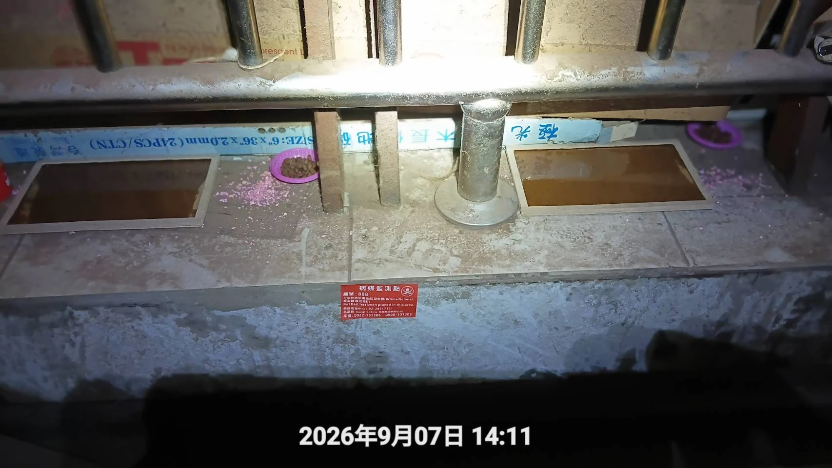 湖口鄉店家鼠害防治