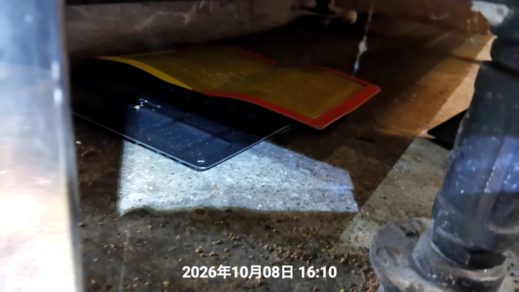 中壢工廠鼠害防治