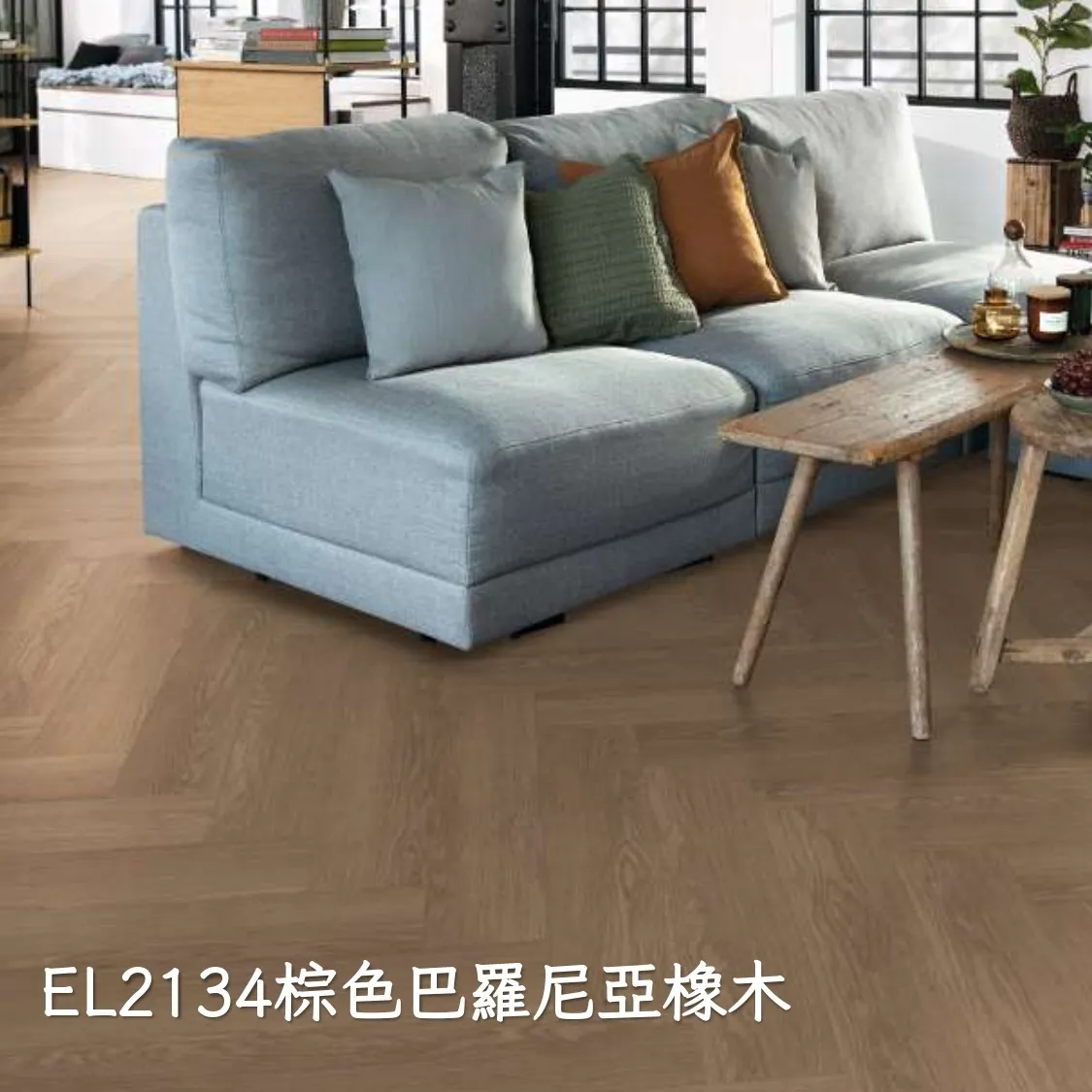EL2134棕色巴羅尼亞橡木