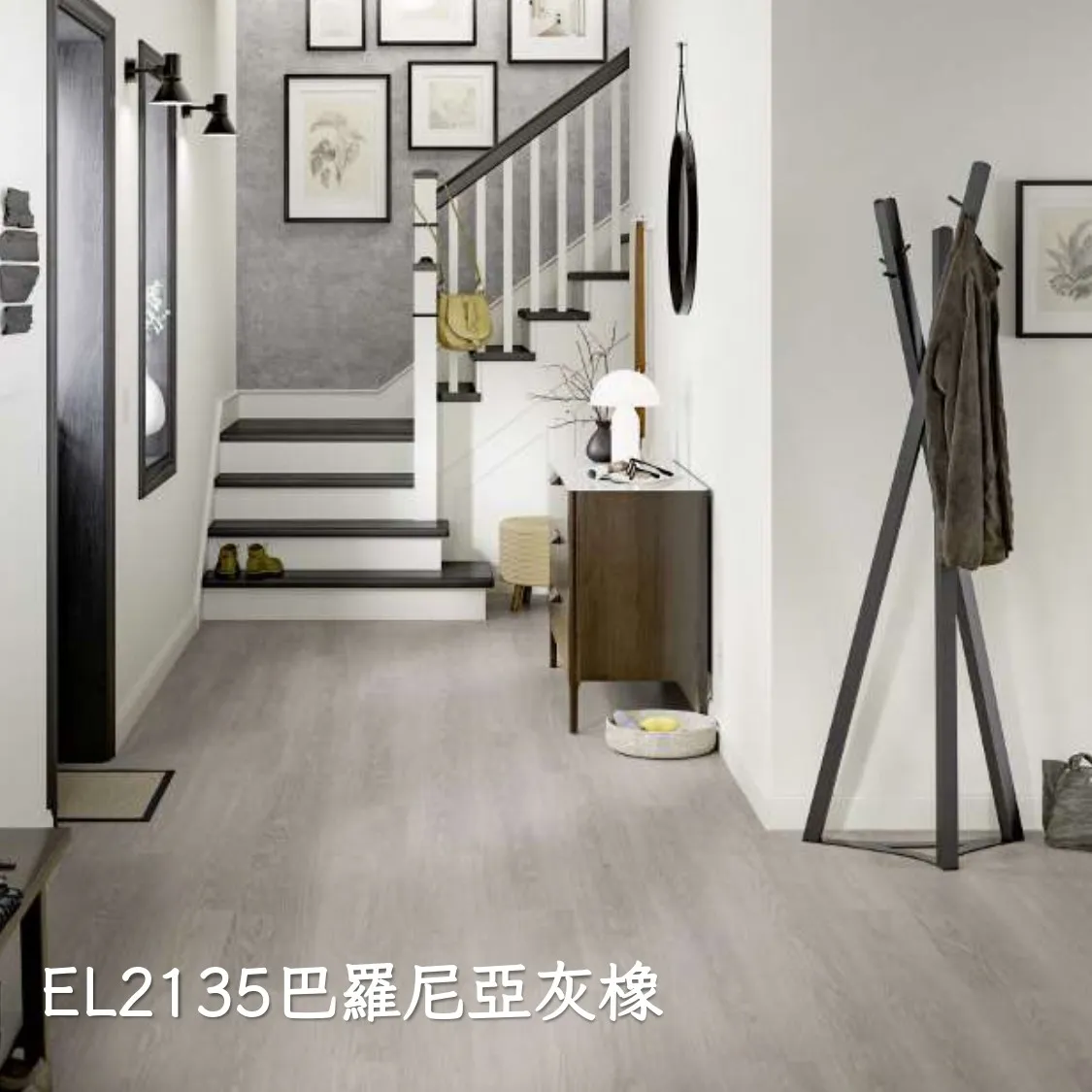 EL2135巴羅尼亞灰橡