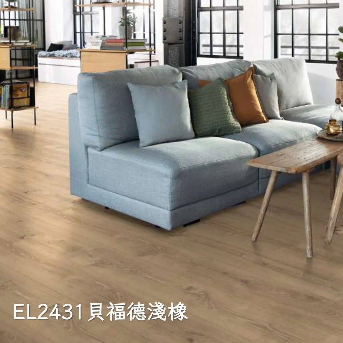 EL2431貝福德淺橡
