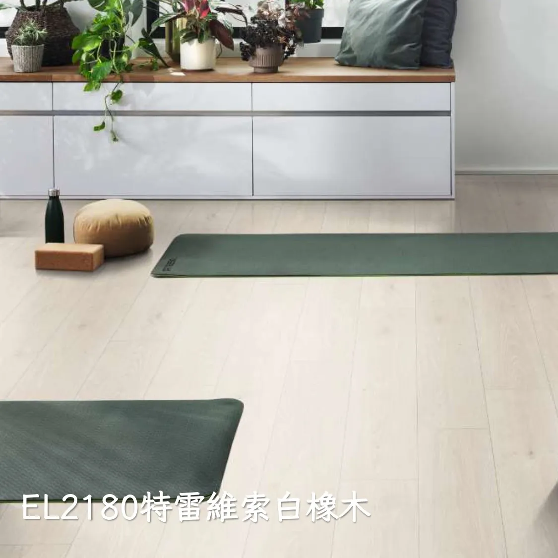 EL2180特雷維索白橡木