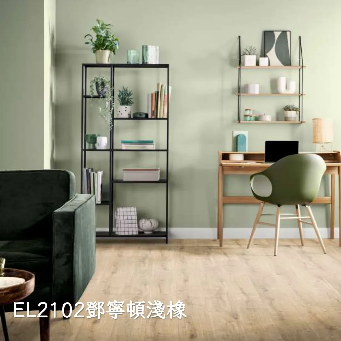 EL2102鄧寧頓淺橡