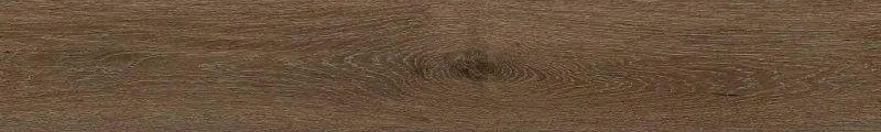 嘉年華 超級99｜62221