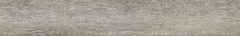 嘉年華 超級99｜62216