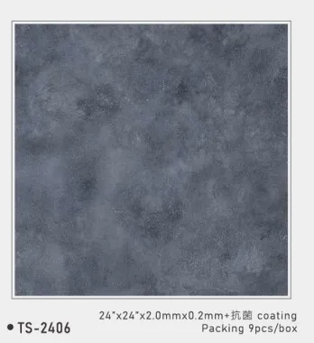 帝寶抗菌2.0耐磨｜TS2406