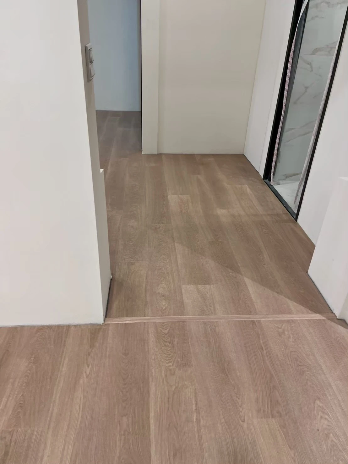 500623 卡麥隆橡木
