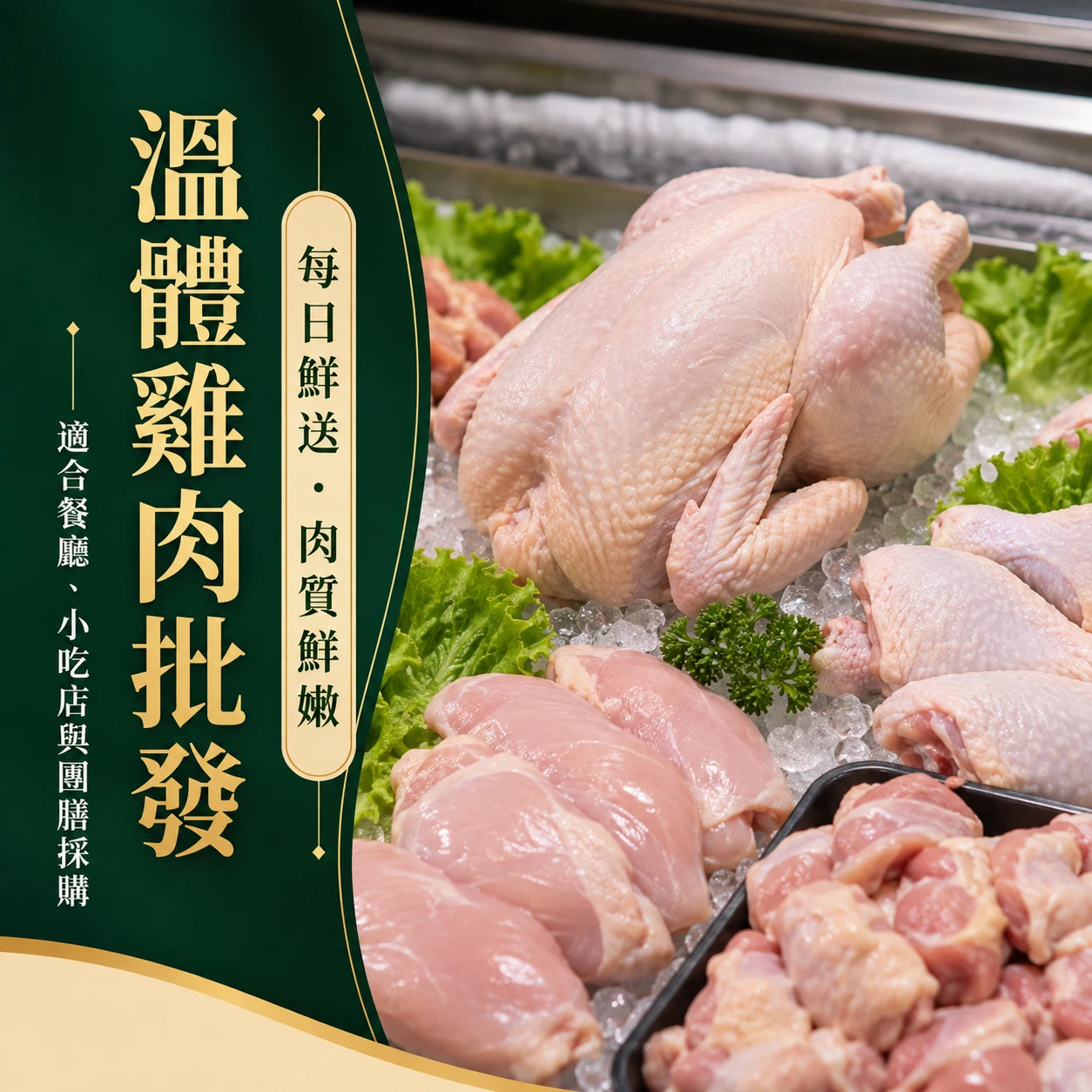 溫體雞肉批發