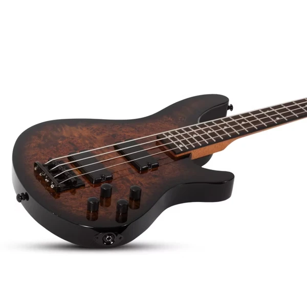 Schecter C-4 Standard 