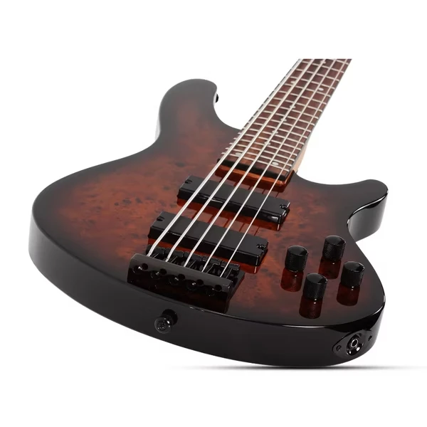 Schecter C-5 Standard