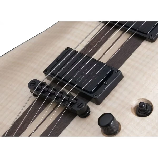 Schecter C-1 40th Anniversary