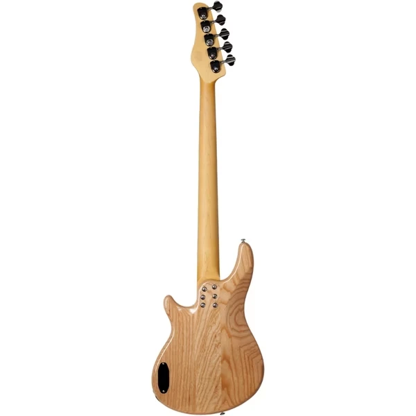 Schecter CV-5