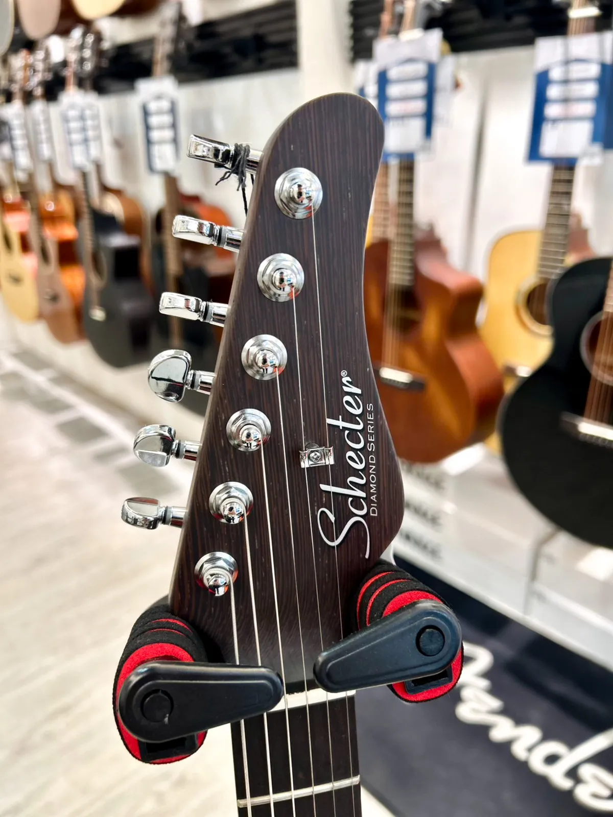 Schecter MV-6