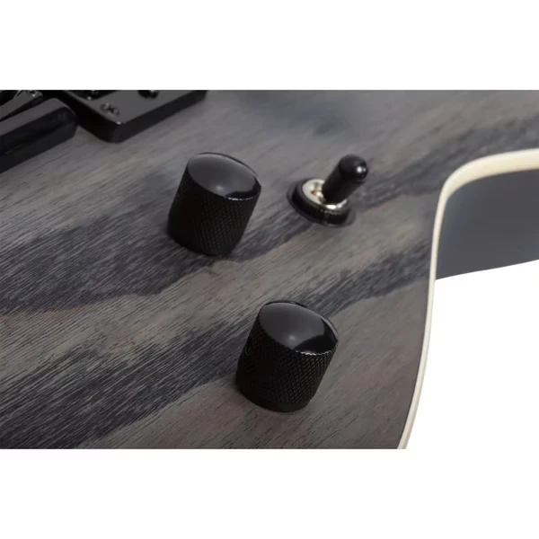 Schecter C-1 Standard