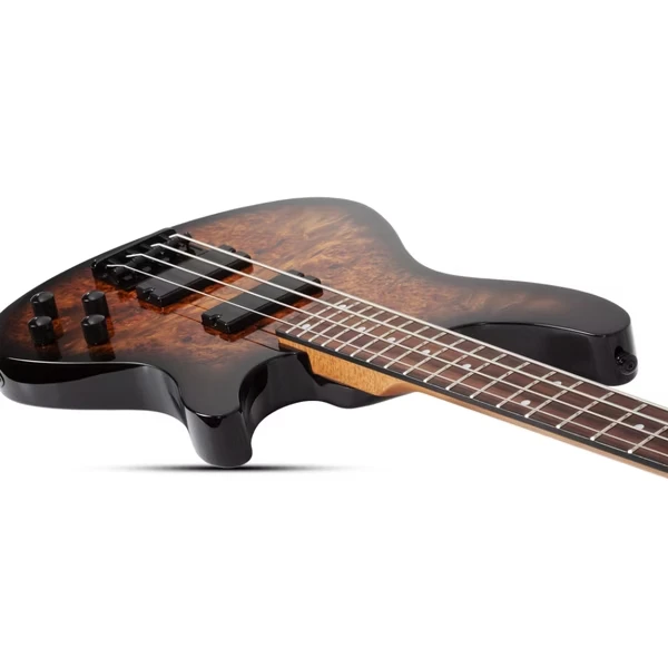 Schecter C-4 Standard