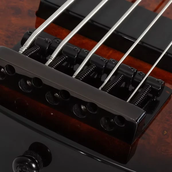 Schecter C-5 Standard