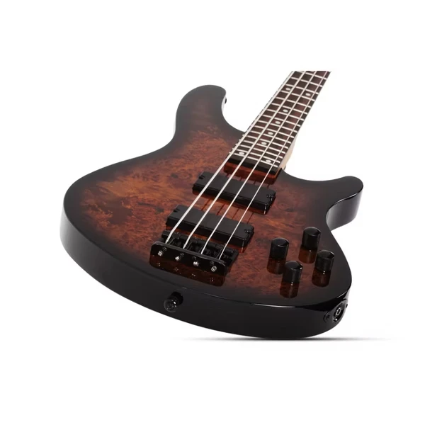 Schecter C-4 Standard