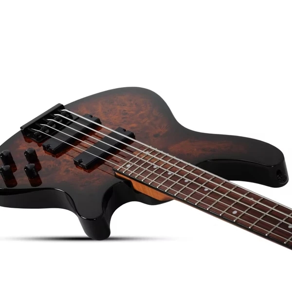 Schecter C-5 Standard