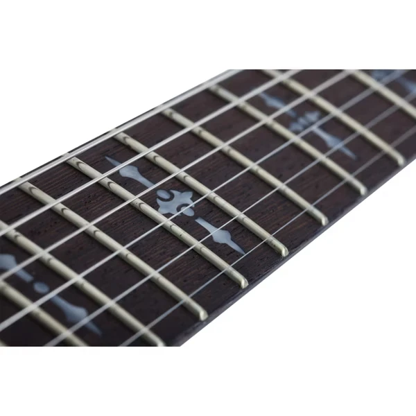Schecter Solo-II Custom