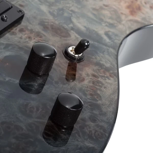 Schecter PT Standard