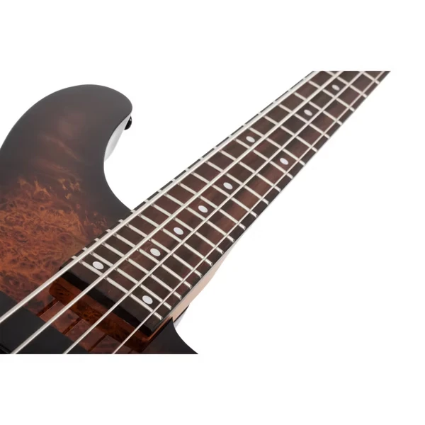 Schecter C-4 Standard