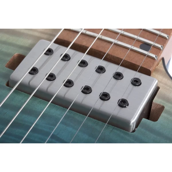 Schecter C-1 Standard Plus