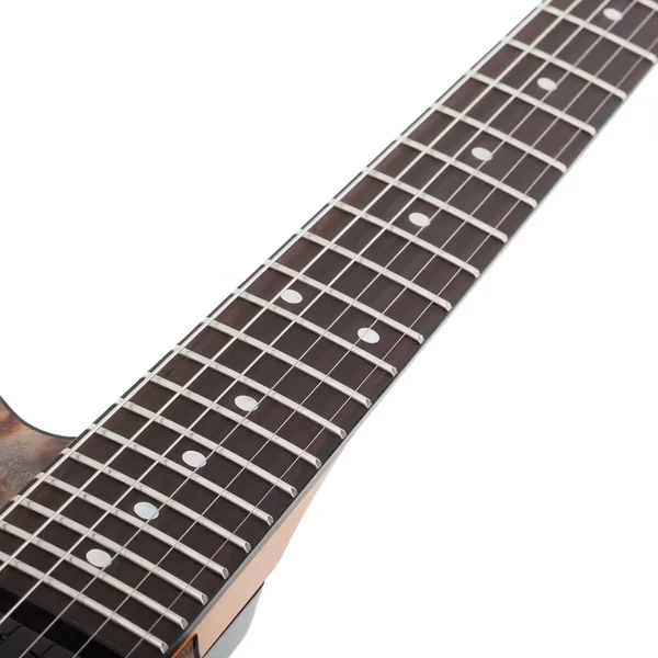 Schecter PT Standard