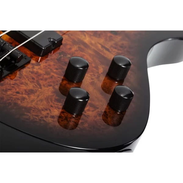 Schecter C-4 Standard