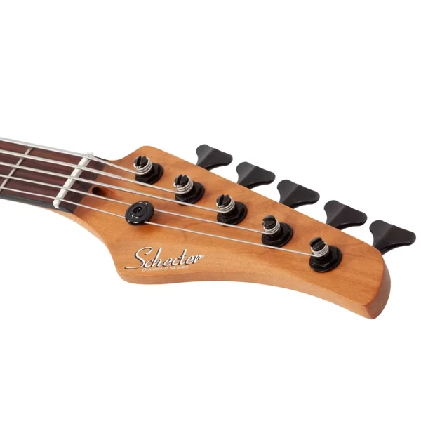 Schecter C-5 Standard