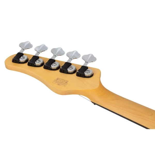 Schecter CV-5