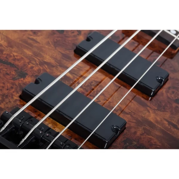 Schecter C-4 Standard