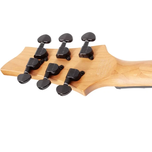 Schecter C-1 Standard