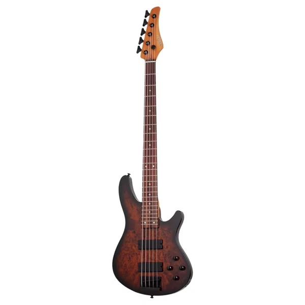 Schecter C-5 Standard