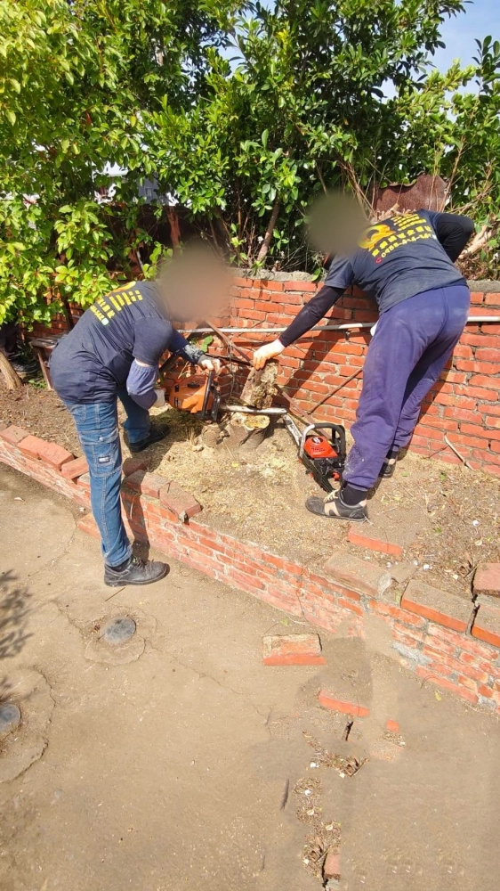 南區同興路 樹木鋸除雜項清運