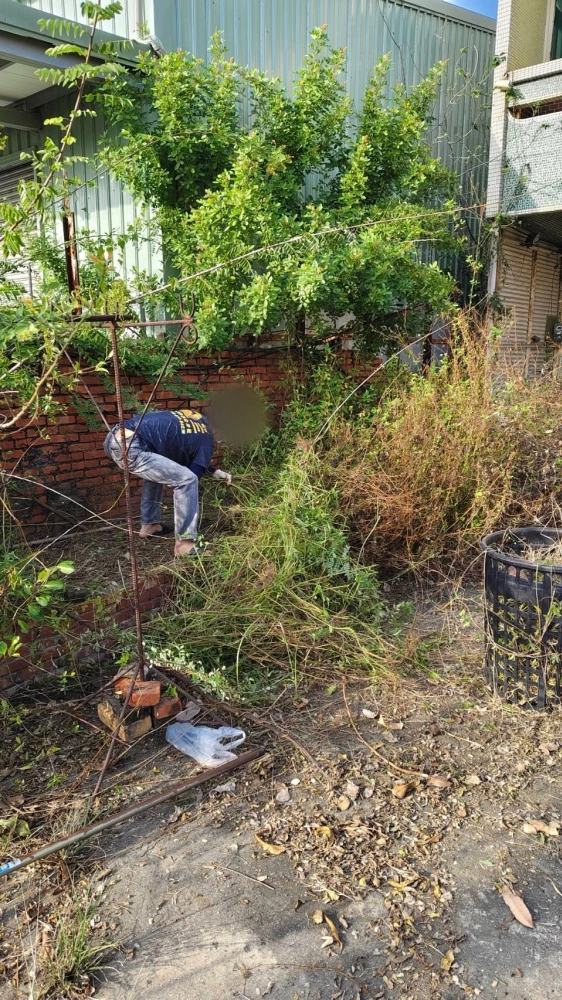 南區同興路 樹木鋸除雜項清運
