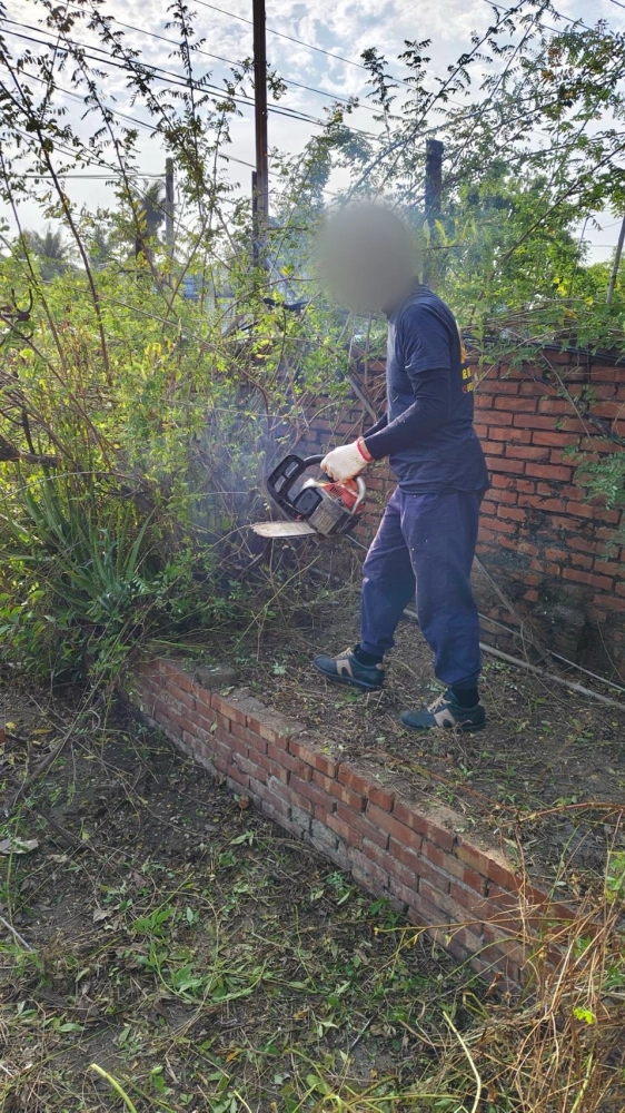 南區同興路 樹木鋸除雜項清運
