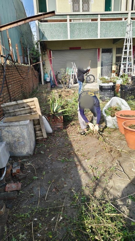 南區同興路 樹木鋸除雜項清運