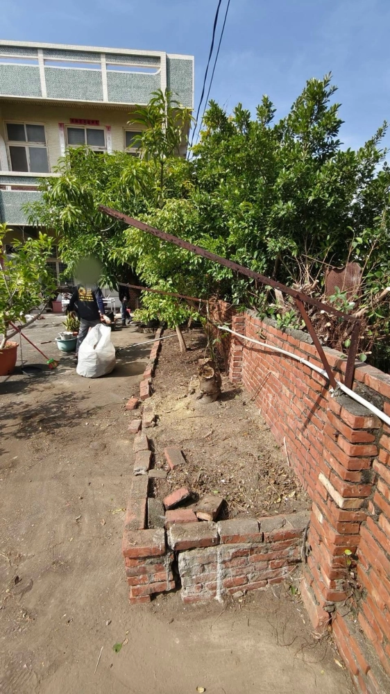 南區同興路 樹木鋸除雜項清運