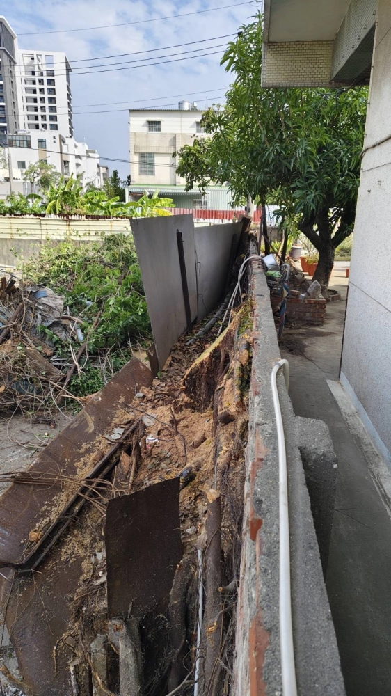 南區同興路 樹木鋸除雜項清運