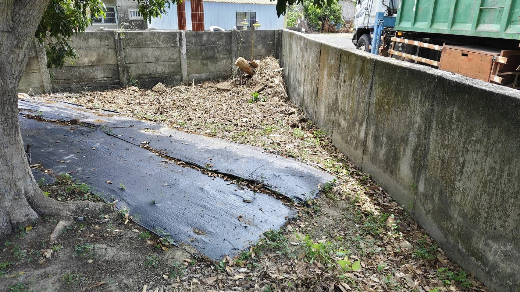 台南東山區廢棄樹木清運
