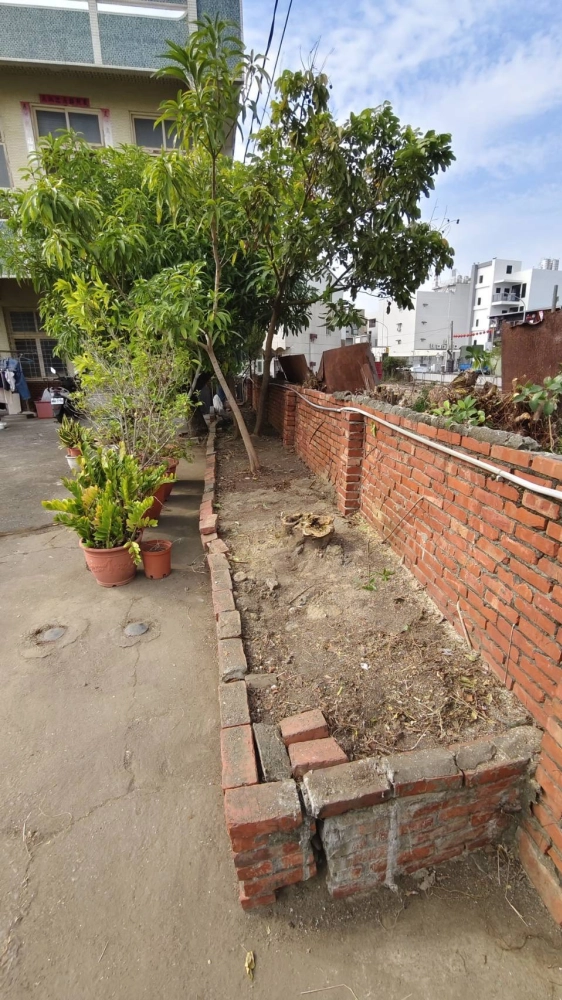 南區同興路 樹木鋸除雜項清運