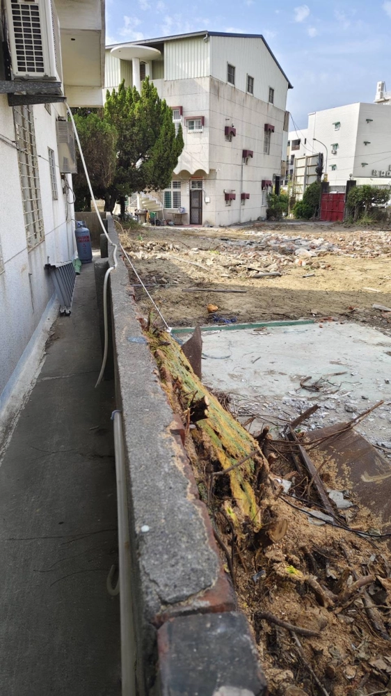 南區同興路 樹木鋸除雜項清運