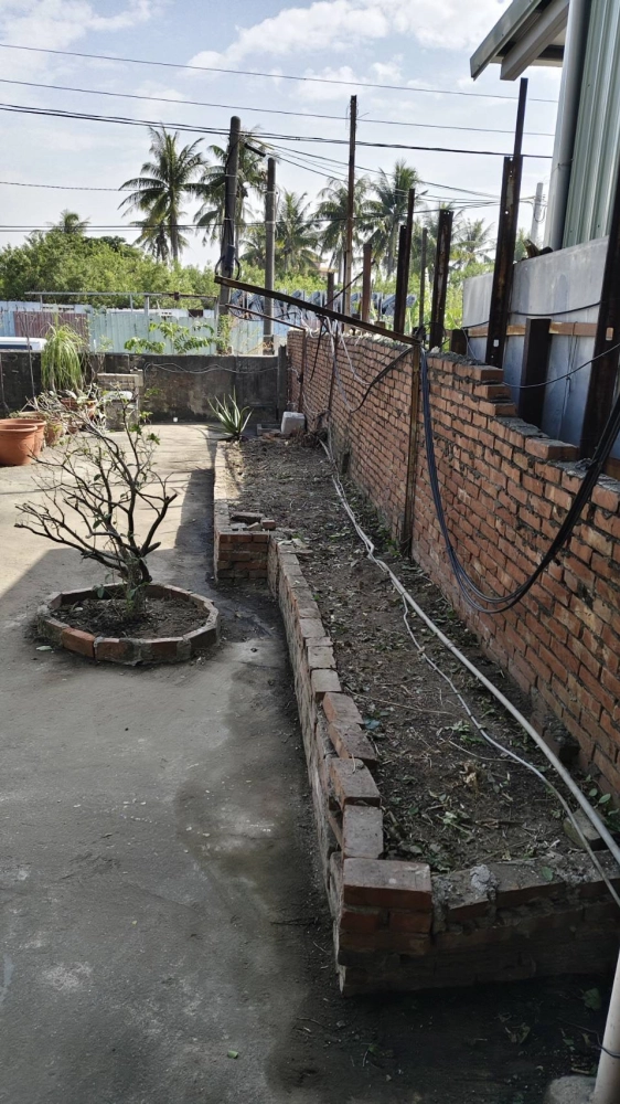 南區同興路 樹木鋸除雜項清運