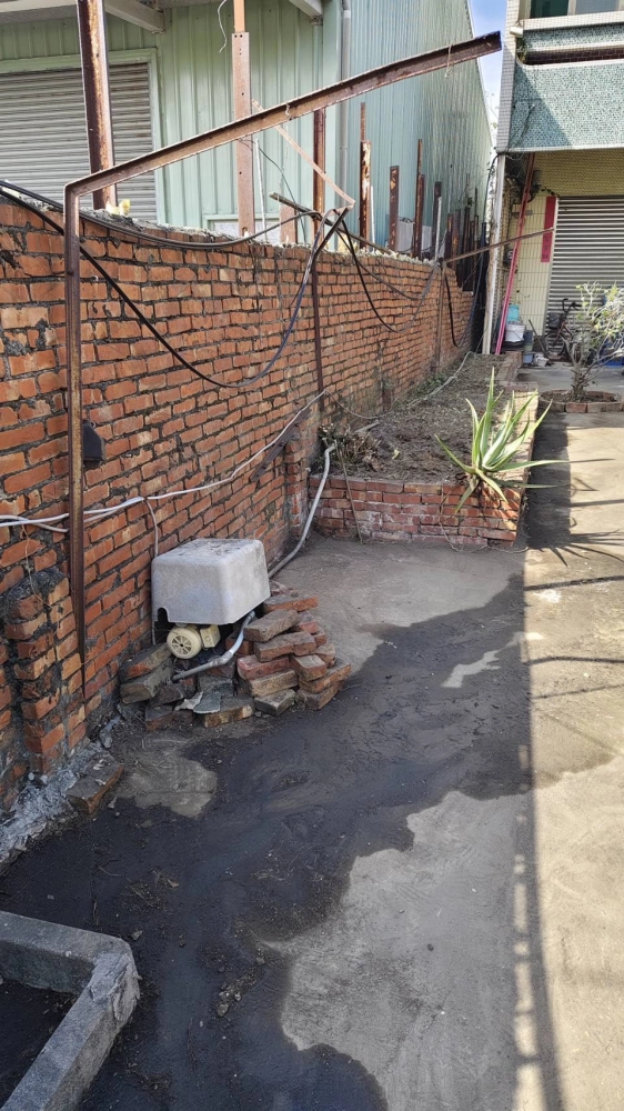 南區同興路 樹木鋸除雜項清運