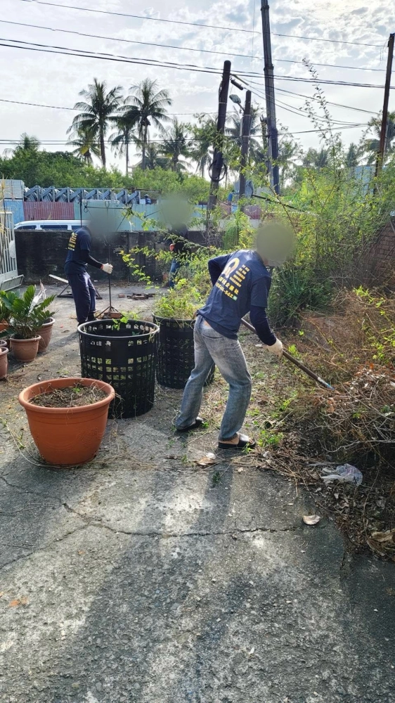 南區同興路 樹木鋸除雜項清運