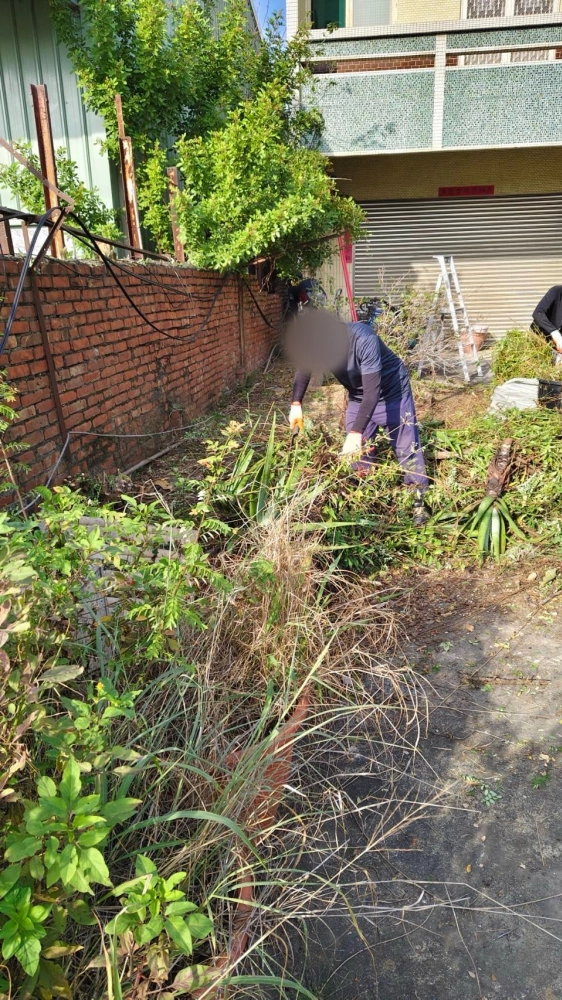 南區同興路 樹木鋸除雜項清運